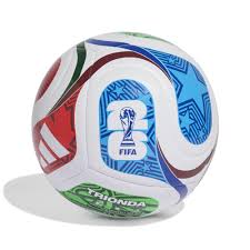 World Cup Sweepstake